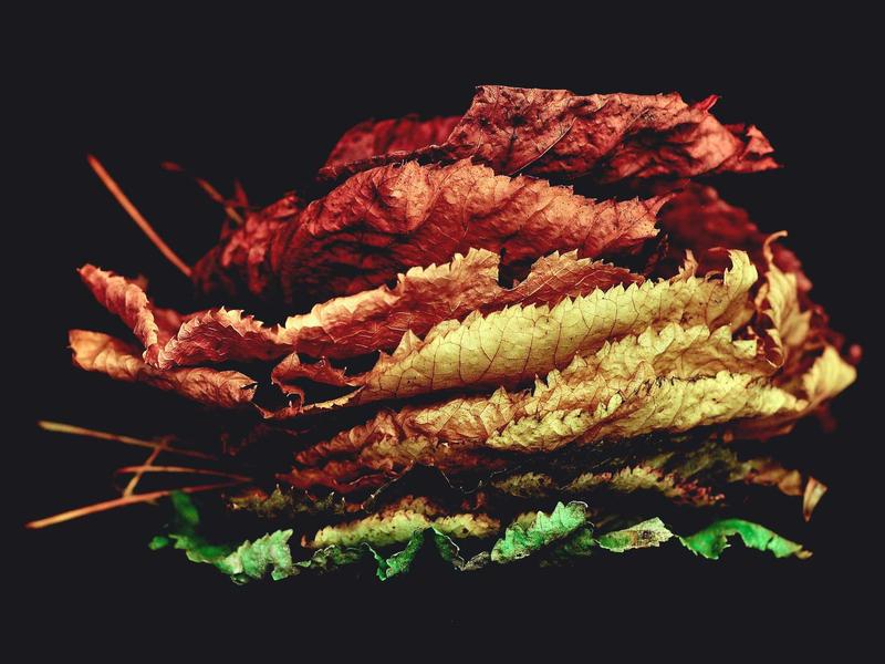 古着买手<br>kclfxfu.cn 中古LV鉴定